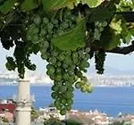 Hotel Buhara Istanbul