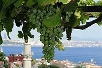 Szálloda Buhara Isztambul